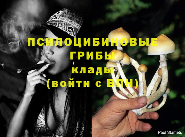 трава Беломорск