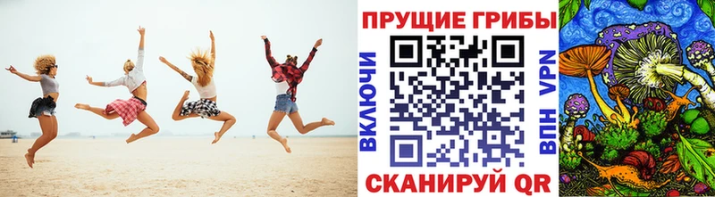 Псилоцибиновые грибы Psilocybine cubensis  Гороховец 