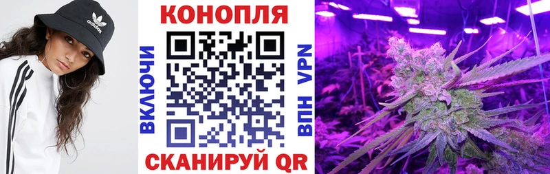нарко площадка наркотические препараты  хочу   Гороховец  Каннабис SATIVA & INDICA 